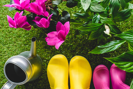 top view of colorful rubber boots, watering can and flowers