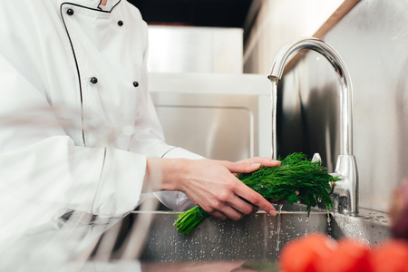 Cropped view of female cook washing herbsの写真素材
