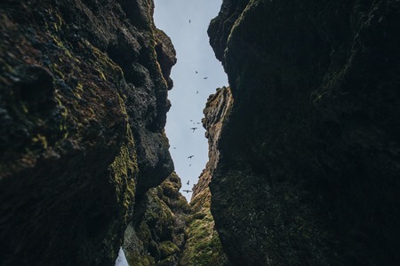 bottom view between majestic rocks at blue sky with flying birds, raudfeldsgja gorge, icelandの写真素材