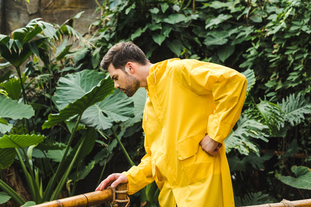attractive young man in yellow raincoat in jungleの写真素材