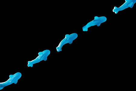 top view of diagonal of blue jelly candies in shape of dolphins isolated on black