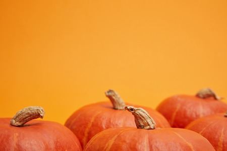 pile of fresh ripe pumpkins isolated on orange backgroundの写真素材