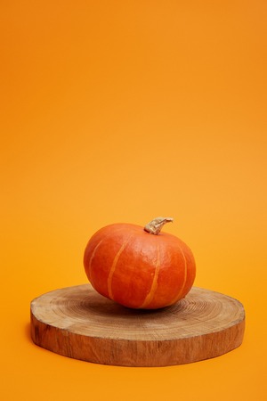 whole ripe pumpkin on round wooden board on orange backgroundの写真素材