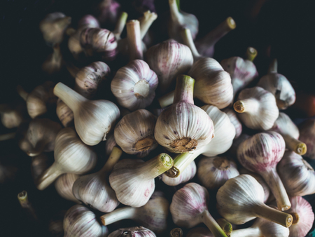elevated view of ripe organic garlic at georgian marketの写真素材