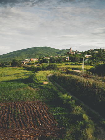 beautiful green fields and hills near village in georgiaの写真素材