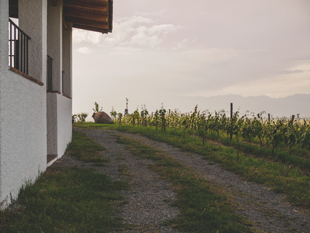 road near house and green fields in georgiaの写真素材