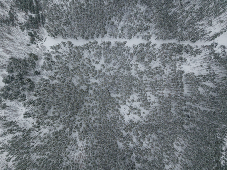 aerial view of winter forest covered with snow, Kyiv, Ukraine