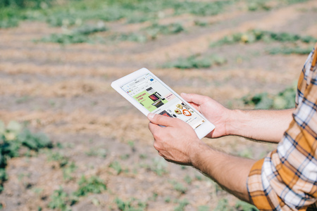 cropped shot of farmer using digital tablet with ebay website while standing on fieldの写真素材