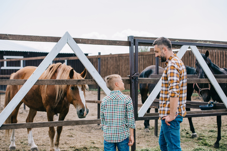 back view of father and son smiling each other while standing near horses at ranchの写真素材