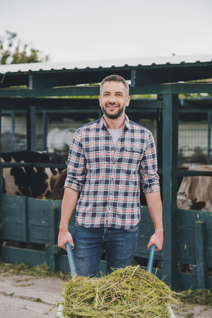farmer holding wheelbarrow with grass and smiling at camera while working at cowshedの写真素材