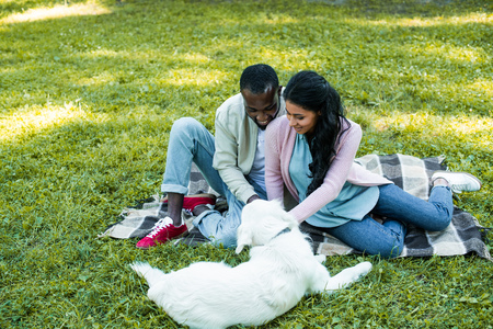 african american couple sitting on blanket in park and looking at dogの写真素材