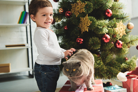 happy little boy petting cat on gift box near christmas treeの写真素材