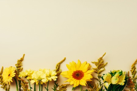 flat lay with various beautiful flowers arrangement on beige backdropの写真素材