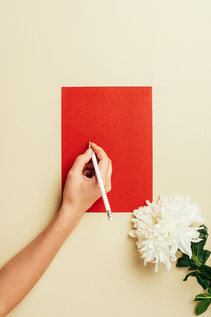 cropped shot of woman with pencil, red blank card and chrysanthemum flower on beige backdropの写真素材