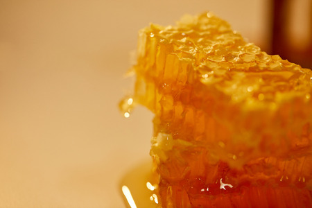 close up view of natural beeswax with  honey