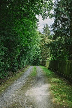 road near fence and green trees in Wurzburg, Germanyの写真素材