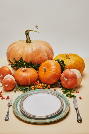 plates, fork, knife and pumpkins with firethorn berries on tableの写真素材