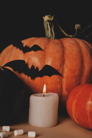pumpkins, candle, marshmallows and paper bats on table, halloween conceptの写真素材