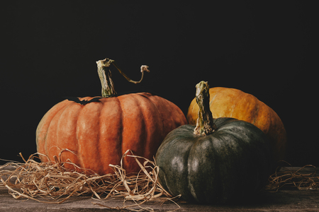 three ripe pumpkins and paper bat on table, halloween conceptの写真素材