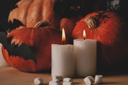 candles with flame, pumpkins and paper bats on table, halloween conceptの写真素材