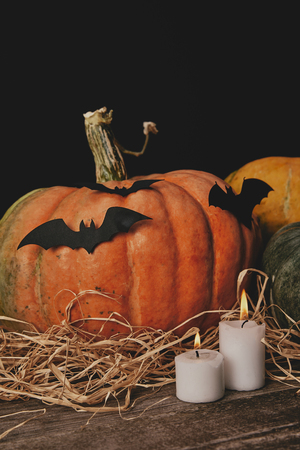 pumpkins, candles and paper bats on table, halloween conceptの写真素材