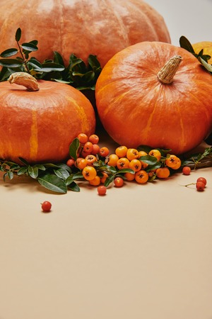 autumnal decoration with pumpkins and firethorn berries on tableの写真素材