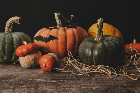 pumpkins, hay and paper bats on table, halloween conceptの写真素材