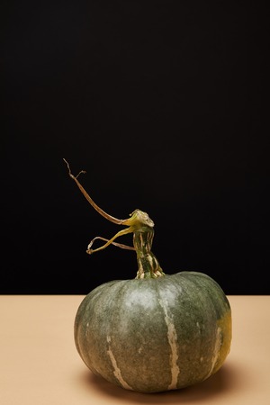 one green pumpkin on beige tableの写真素材