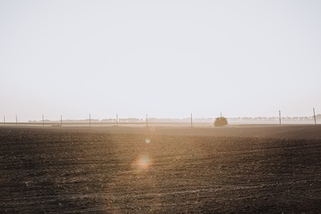 scenic view of field and electric towers during sunset in countrysideの写真素材