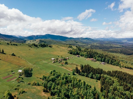 aerial view of small village on hill near forest in arezzo province, Italy