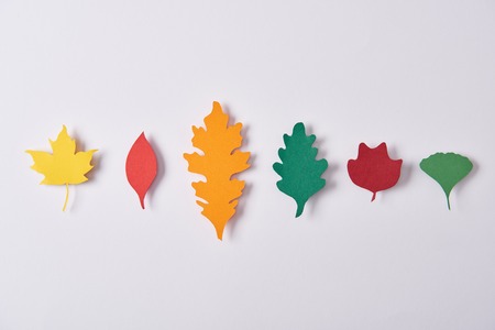 top view of colorful leaves made of paper arranged on white background