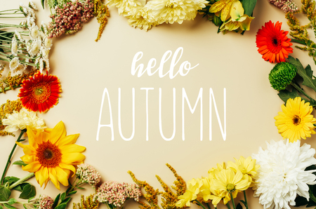 flat lay with various beautiful flowers with "hello autumn" lettering in middle on beige backgroundの写真素材