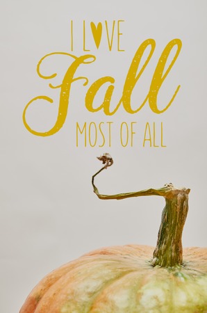 close up of one ripe pumpkin isolated on white with I LOVE FALL MOST OF ALL letteringの写真素材