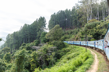 ELLA, SRI LANKA - JAN 17, 2017: railway road and various trees with green foliage in Asiaのeditorial素材