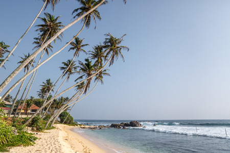 beautiful scenic view of palm trees om coastline and blue sky, sri lanka, unawatunaの写真素材