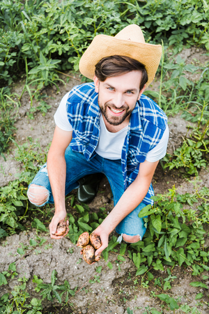 high angle view of handsome farmer squatting in field at farm and holding ripe potatoesの写真素材