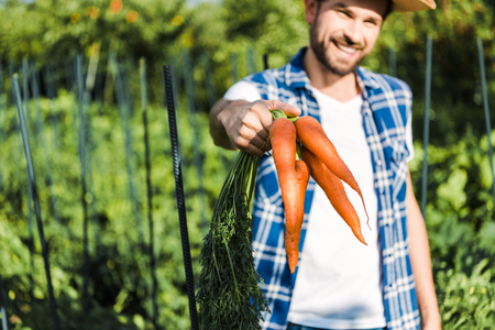handsome farmer showing organic carrots in field at farmの写真素材