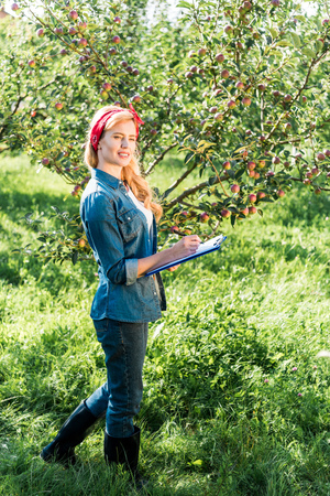 attractive farmer examining harvest in apple garden at farmの写真素材