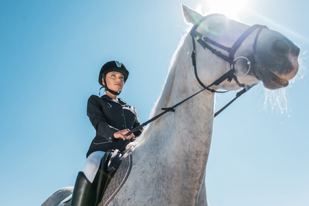 low angle view of attractive female equestrian riding horse against blue skyの写真素材