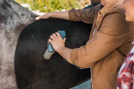 cropped image of male equestrian cleaning black horse with brush at ranchの写真素材