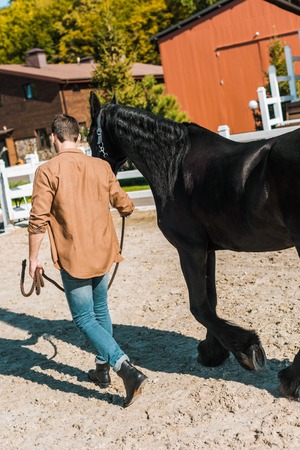 back view of cowboy walking with horse at horse clubの写真素材