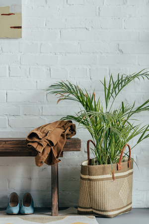 Jacket on wooden bench in corridor at home, potted palm tree in basket on floorの写真素材