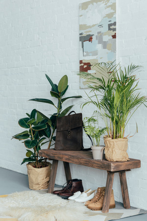 different shoes under wooden bench in corridor, potted plants on floorの写真素材