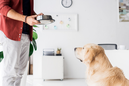 cropped view of golden retriever dog looking at man with dog bowlの写真素材