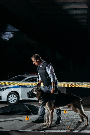 policeman holding german shepherd on leash near cross line at crime scene with corpse in body bagの写真素材