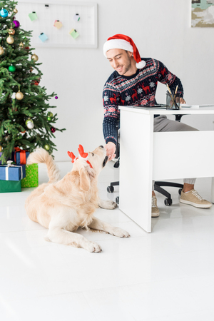 smiling man in santa hat looking at funny golden retriever in deer hornsの写真素材