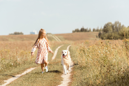 beautiful little child running with adorable golden retriever dog in fieldの写真素材