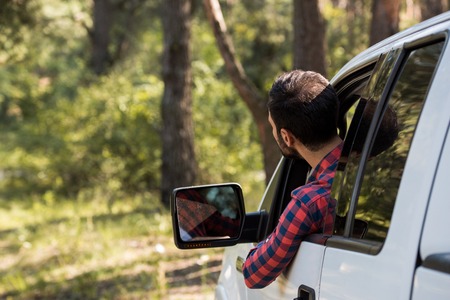 rear view of driver driving pickup truck in forest