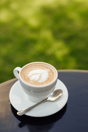 Cup of cappuccino with plate and spoon on wooden tabletop in gardenの写真素材