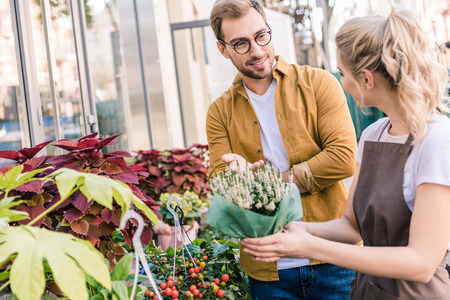Florist helping customer choosing potted plant at flower shopの写真素材